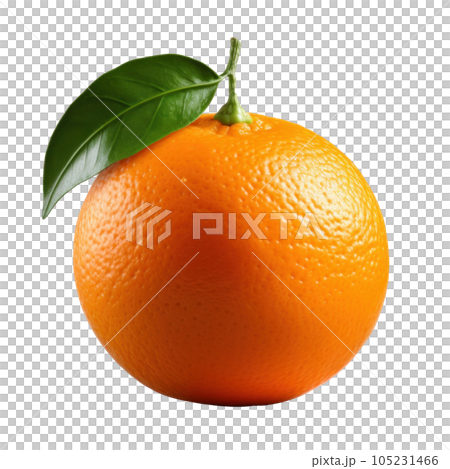Single mandarine isolated 105231466
