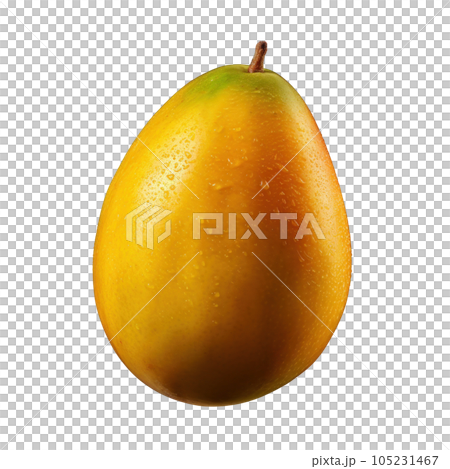 Fresh mango isolated 105231467