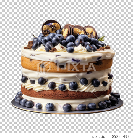 Chocolate cake with berries isolated 105231498