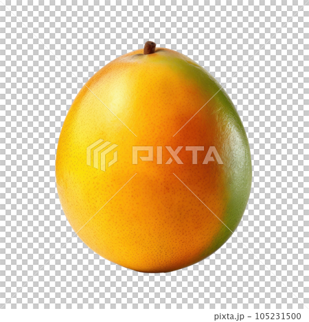 Fresh mango isolated 105231500