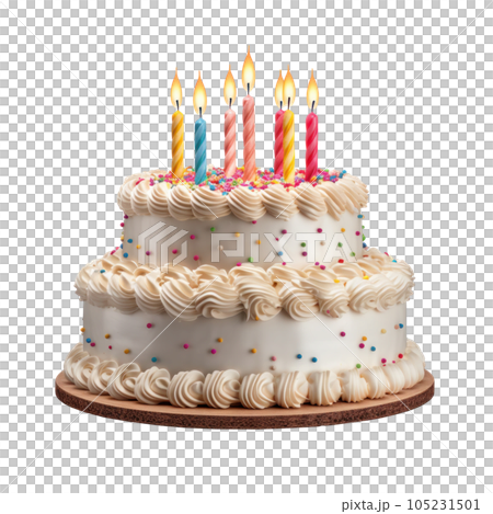 Birthday cake with candles isolated 105231501