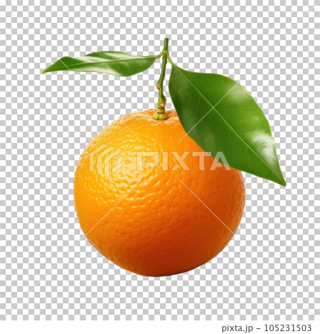 Single mandarine isolated 105231503