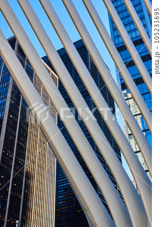 White rib architecture modern design with skyscrapers behind New York City 105231695