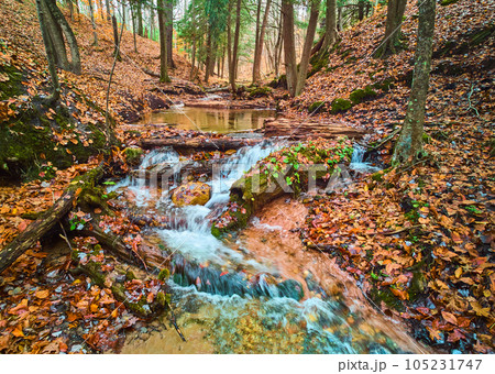 Small river creek with cascading waterfalls in beautiful fall forest covered in orange leaves 105231747