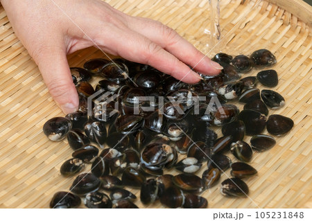 しじみ 洗う 105231848