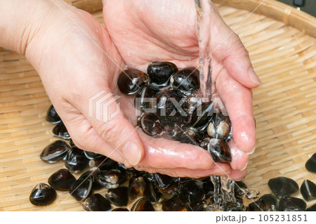 しじみ 洗う 105231851