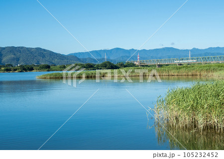 【高徳線】吉野川橋梁を渡る早朝の普通列車 105232452