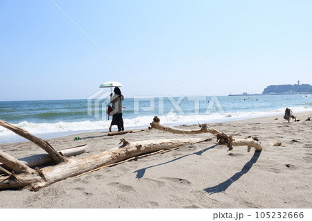 真夏の湘南海岸青い空青い海流木のある風景 真夏の湘南海岸青い空青い海流木のある風景 105232666