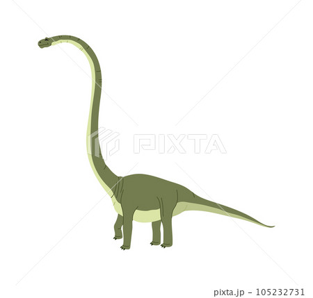 Tall dinosaur isolated childish brontosaurus dino Tall dinosaur isolated childish brontosaurus dino 105232731