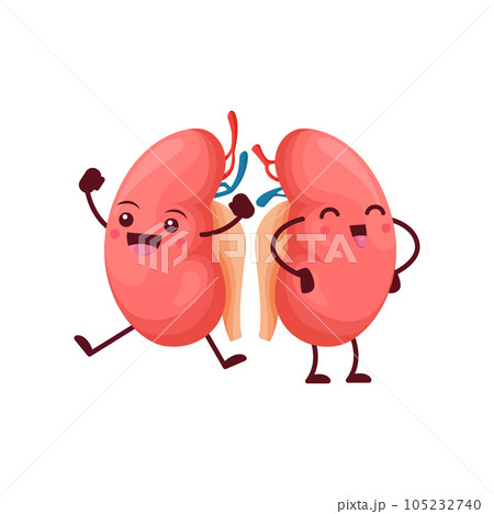 Cartoon kidneys body organs characters, reins 105232740