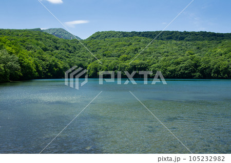 八甲田山麓　夏の蔦沼 105232982