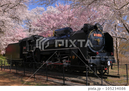 長野県伊那市中央 桜の名所伊那公園に展示される機関車D-51とソメイヨシノやコヒガンザクラ 長野県伊那市中央 桜の名所伊那公園に展示される機関車D-51とソメイヨシノやコヒガンザクラ 105234086