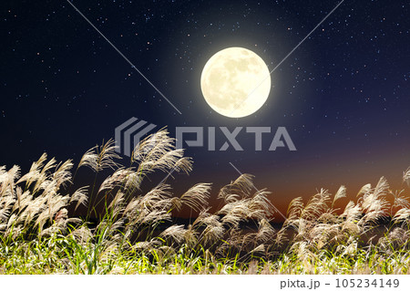 ススキと満月 ススキと満月 105234149