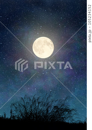 ススキと満月 105234152