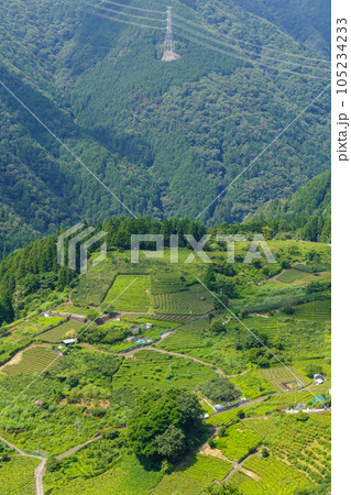 岐阜のマチュピチュ 天空の茶畑（岐阜県揖斐川町） 105234233