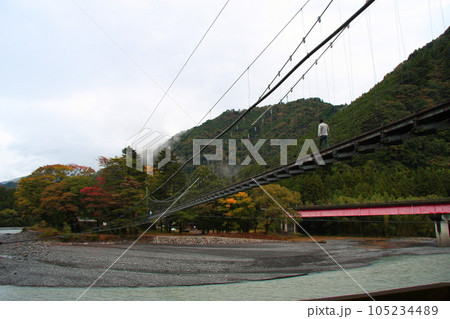 大井川鉄道の井川線、線路と交差する両国吊橋(車窓から) 大井川鉄道の井川線、線路と交差する両国吊橋(車窓から) 105234489