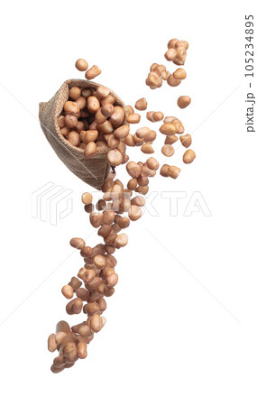 Peanut flying in sack bag, brown grain peanuts throw abstract float. Beautiful complete seed pea peanut sack bag splash in air, food object design. White background isolated high speed shutter freeze Peanut flying in sack bag, brown grain peanuts throw abstract float. Beautiful complete seed pea peanut sack bag splash in air, food object design. White background isolated high speed shutter freeze 105234895