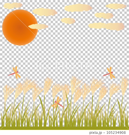 ススキと赤とんぼと夕暮れの秋をイメージしたイラスト　正方形バージョン 105234908