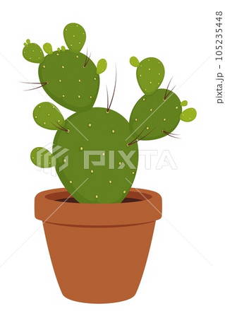 Green succulent opuntia plant in ceramic pot. Isolated vector engelmann prickly pear, nopal, paddle, bunny ear, or polka dot. Beavertail, santa rita, indian fig, cholla, cow tongue, diamond cholla 105235448
