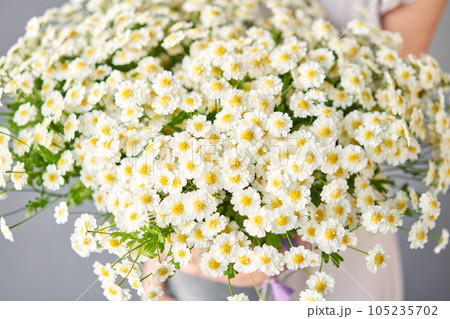 Daisy flowers. Summer background. Bouquet of camomiles present for Mothers Day. Daisy flowers. Summer background. Bouquet of camomiles present for Mothers Day. 105235702