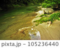 ～夏模様～　飯豊柴倉山の渓流 105236440