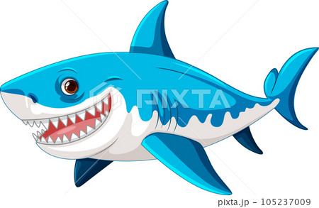 A cartoon illustration of a great white shark smiling and swimming in a blue colour, isolated on white 105237009