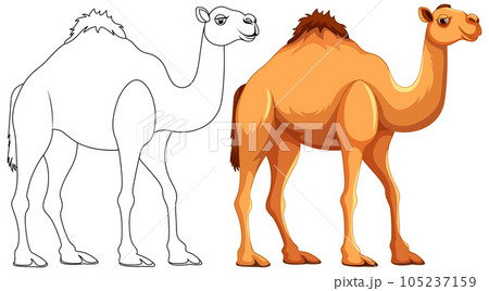 Camel Walking Outline 105237159