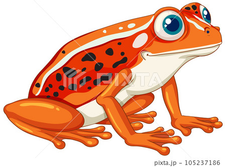 Orange Frog Cartoon 105237186