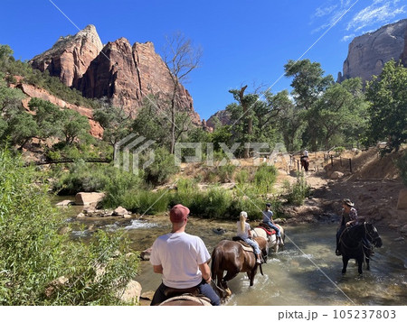 アメリカのザイオン国立公園で乗馬 105237803
