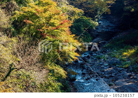 秋深く木々は赤くなり黄色くなり、山や川に彩を添える 秋深く木々は赤くなり黄色くなり、山や川に彩を添える 105238157