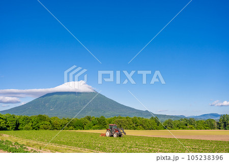 ニセコ　羊蹄山　美しい農地　トラクター 105238396