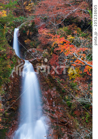 秋の七滝（八幡平・岩手県県民の森） 105238605
