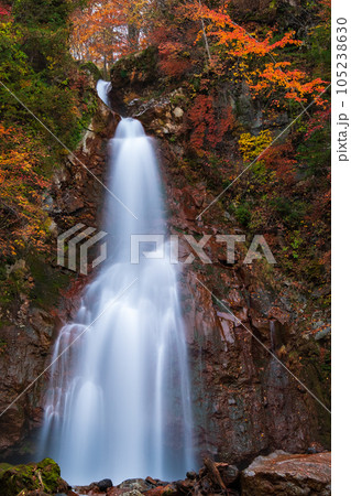 秋の七滝（八幡平・岩手県県民の森） 105238630