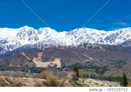 《長野県》残雪の北アルプス・春の白馬村の風景 105238712