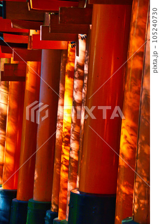 京都 伏見稲荷大社の美しい鳥居 京都 伏見稲荷大社の美しい鳥居 105240730