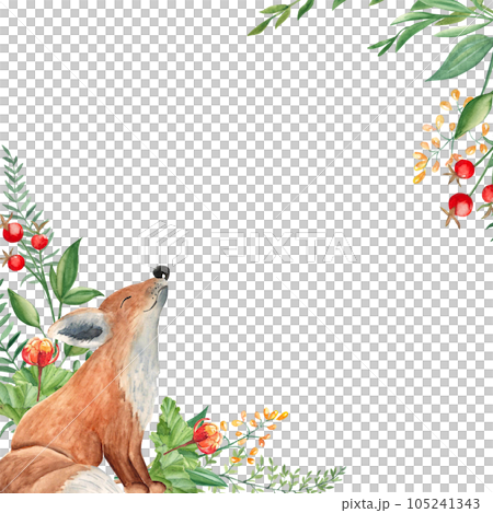 Watercolor square forest frame, border with baby fox, cloudberry, fern, green branches, red and yellow berries and wildflowers isolated on white background. Hand drawn botanical illustration. Can be 105241343