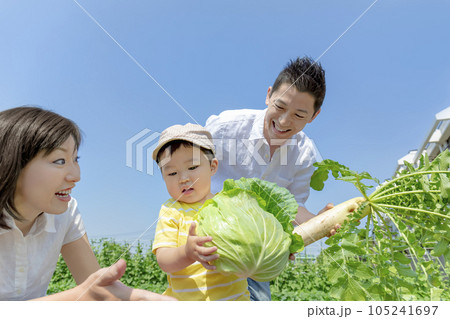 住宅街の農園で野菜を持つ家族 105241697