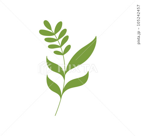 Beauty florist vector icon design 105242457
