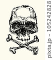 Skull. Hand drawn vector illustration. 105242828