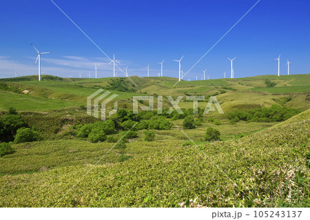 宗谷丘陵の丘と風力発電 105243137