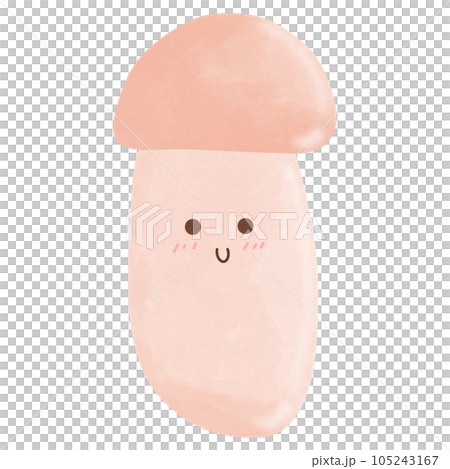 mushroom mushroom 105243167