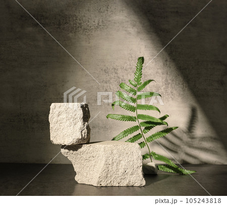 Rough stone and fern with sunlight from window on concrete wall and floor background,Copy space for product display Rough stone and fern with sunlight from window on concrete wall and floor background,Copy space for product display 105243818