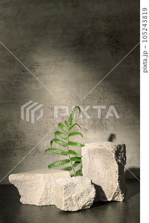 Rough stone and fern with sunlight from window on concrete wall and floor background,Copy space for product display 105243819