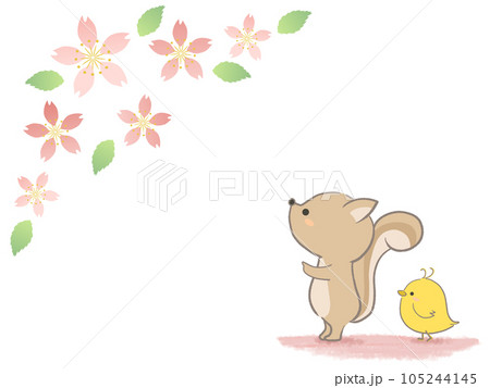 リスさんと桜の花のかわいいフレームイラスト リスさんと桜の花のかわいいフレームイラスト 105244145