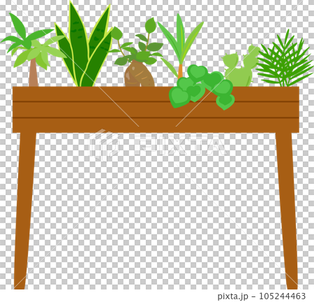 Houseplants on a wooden rack 105244463