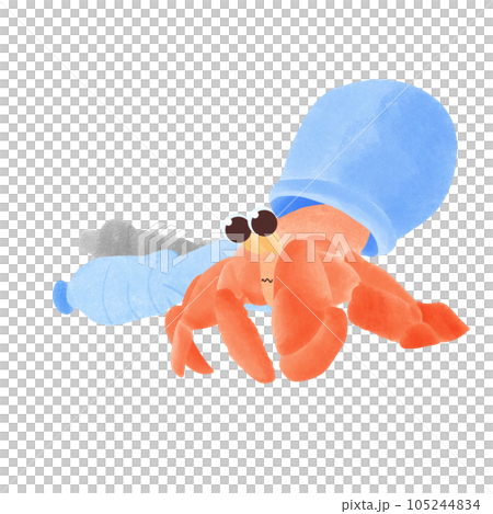 Hermit crabs and trash on the beach Hermit crabs and trash on the beach 105244834