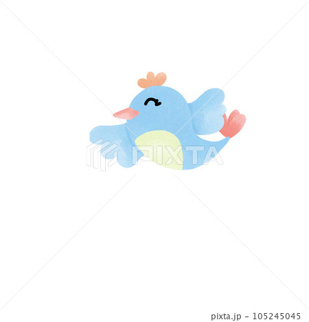Blue bird 105245045