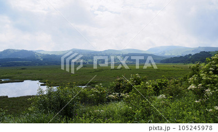 長野県諏訪市周辺自治体にまたがる霧ヶ峰の八島湿原の夏（夏休み） 105245978
