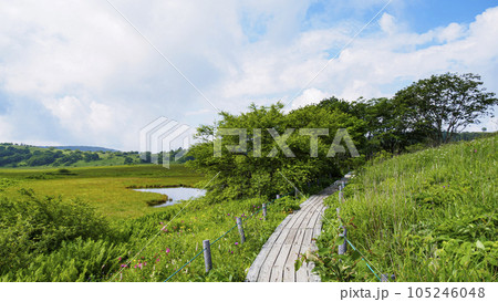 長野県諏訪市周辺自治体にまたがる霧ヶ峰の八島湿原の夏（夏休み） 105246048