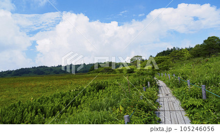 長野県諏訪市周辺自治体にまたがる霧ヶ峰の八島湿原の夏（夏休み） 105246056
